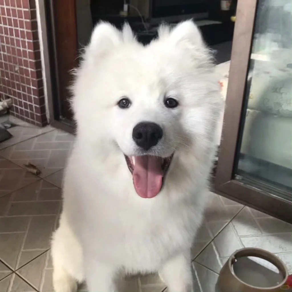 百万